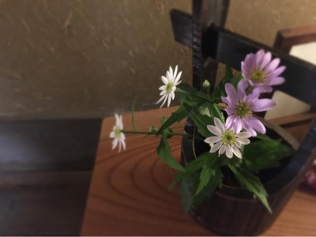 Ryosou Komatsu Bessou Hotel Kokonoe Kültér fotó